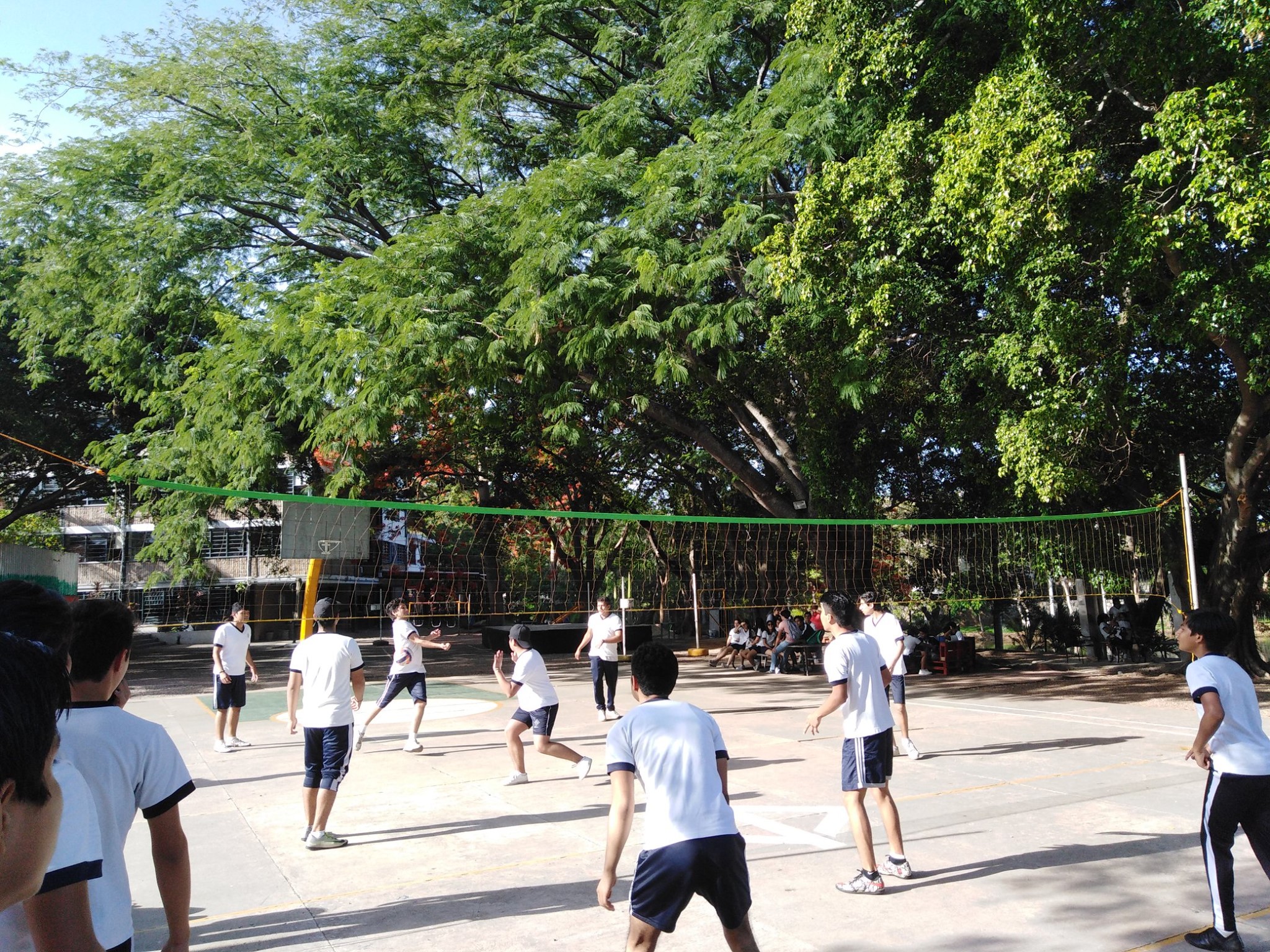 Voleibol